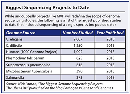 big-sequence-proj-date