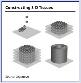 constructing-3d-tissues