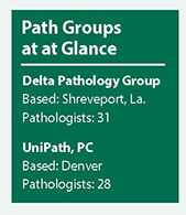 path-groups-at-glance