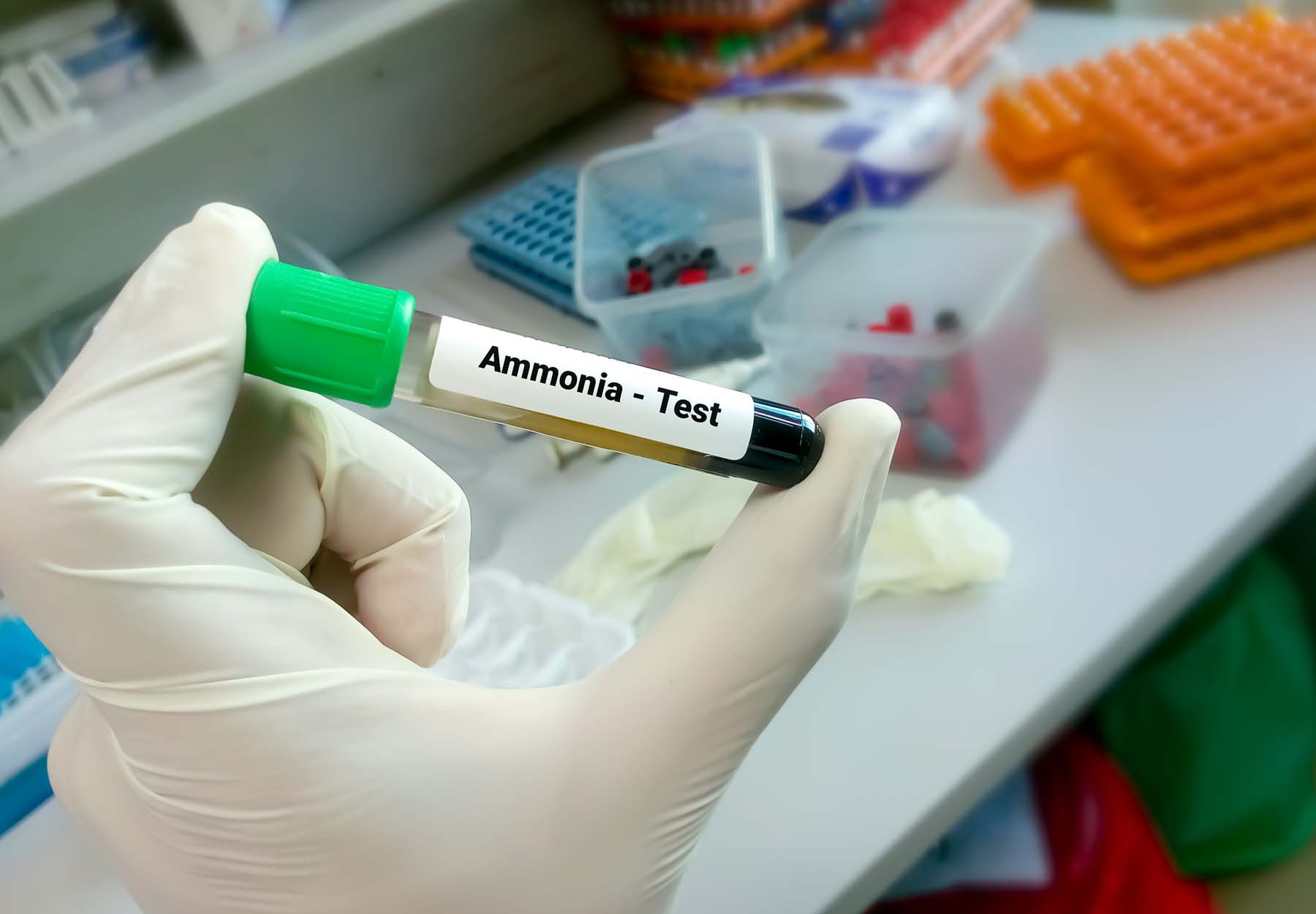 A white-gloved hand holds an ammonia test sample in the lab.