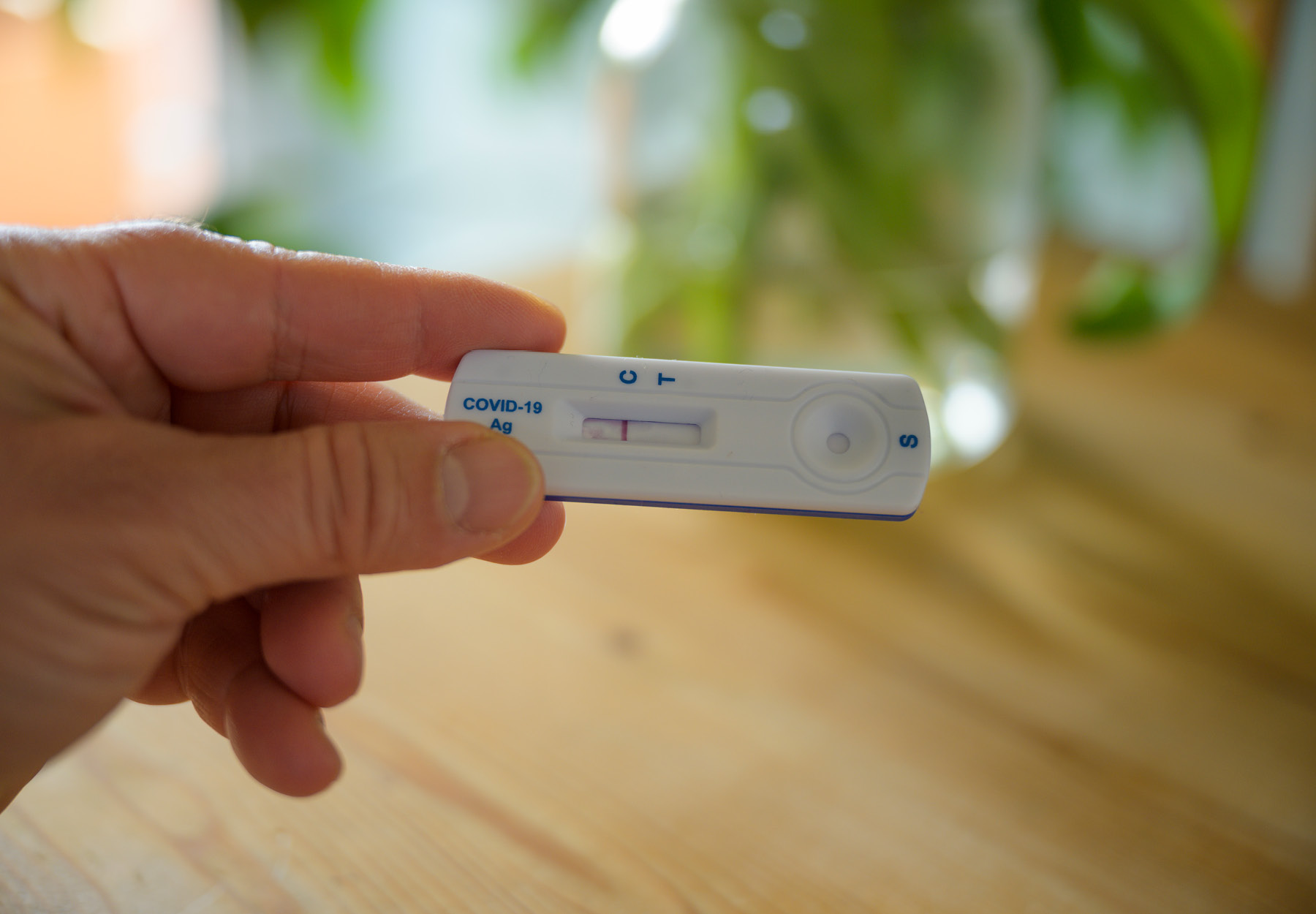 A closeup of a hand holding a SARS-CoV-2 rapid test