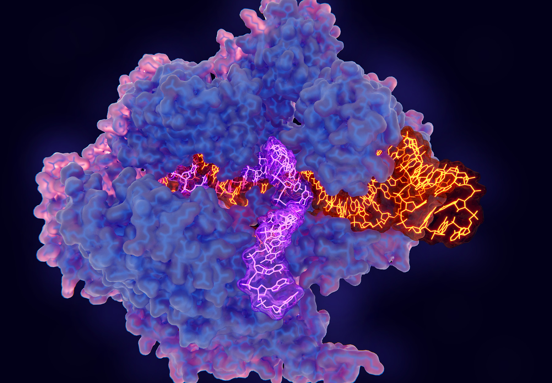 A computer-generated illustration of CRISPR.