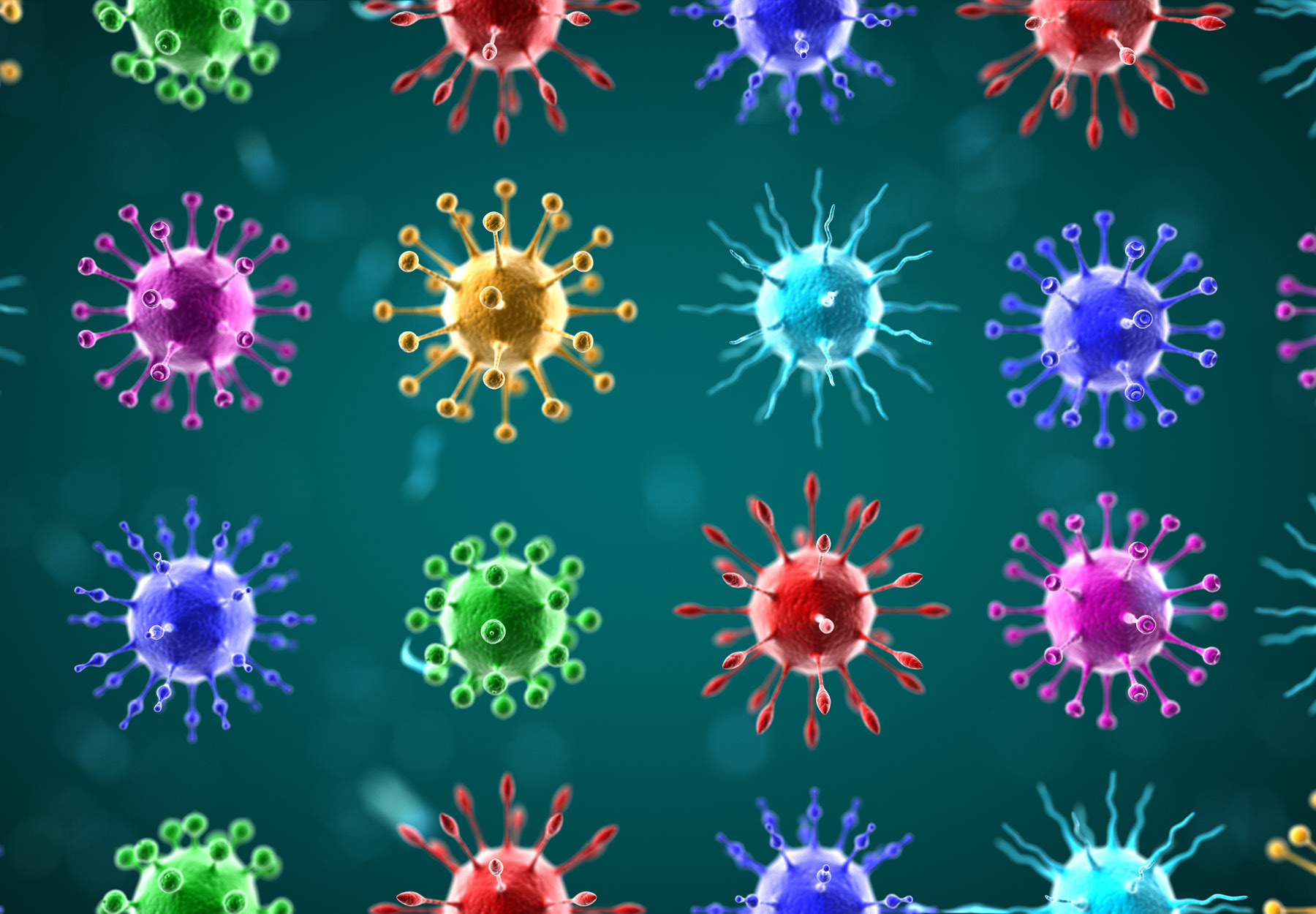 An illustration of many different colored viruses to symbolize the identification of variants