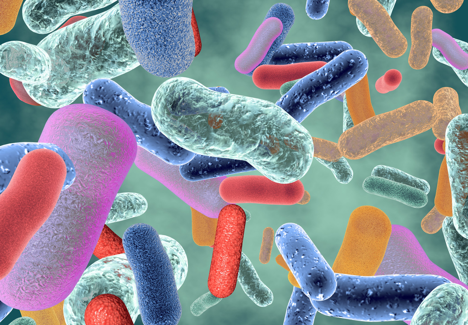 An illustration of colorful gut bacteria.