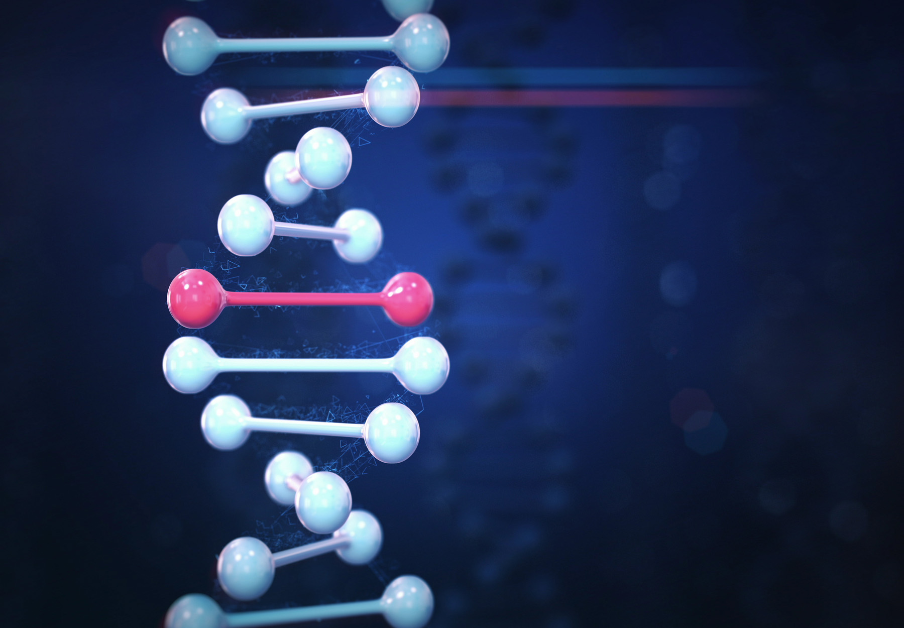 An abstract image of a DNA strand in white with one segment highlighted in red to represent genetic cancer screening