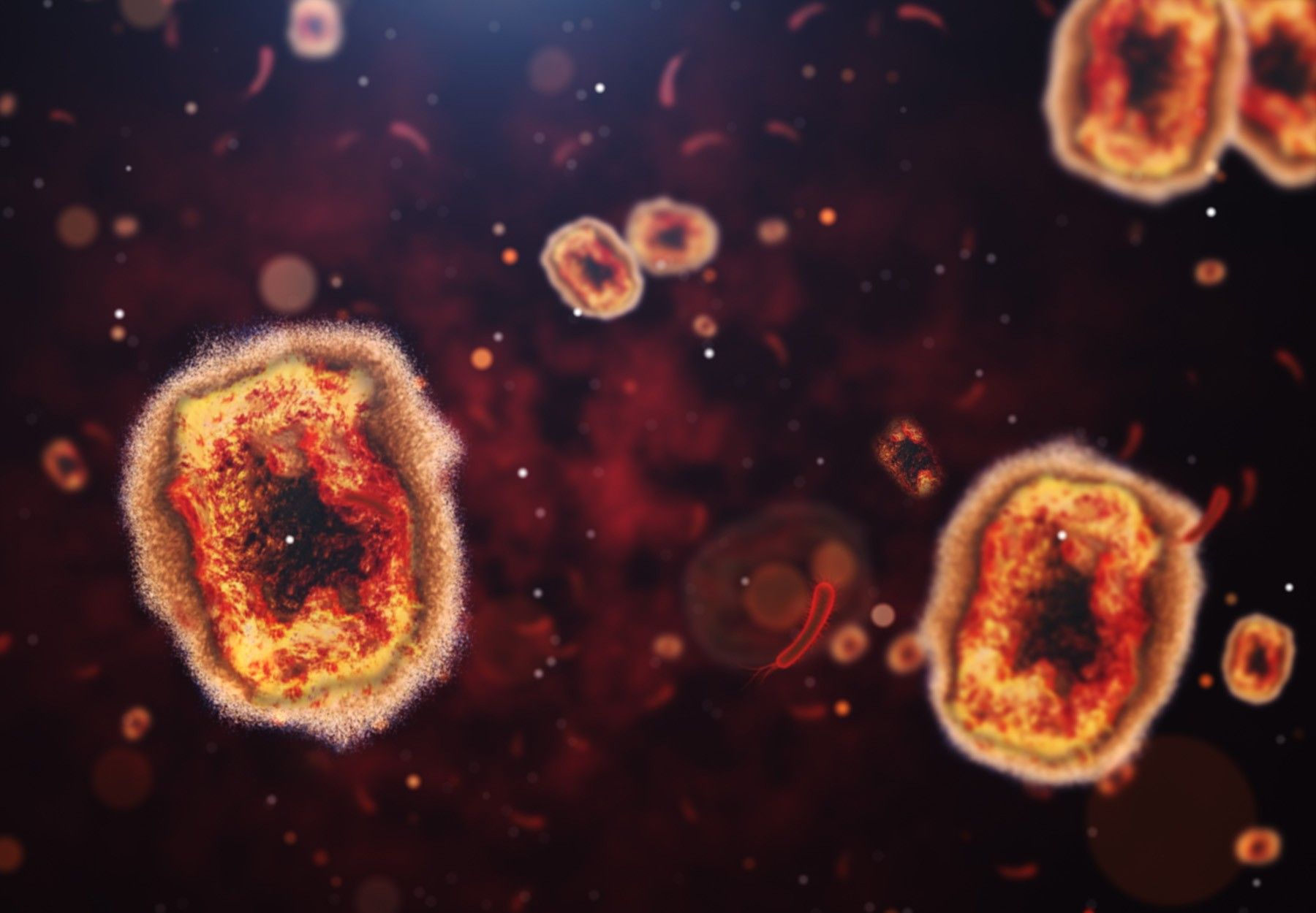 Stock microscopic image of monkeypox virus