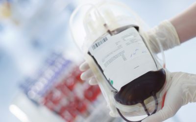 Novel Pathogen Reduction Technologies Effectively Treat Whole Blood Products
