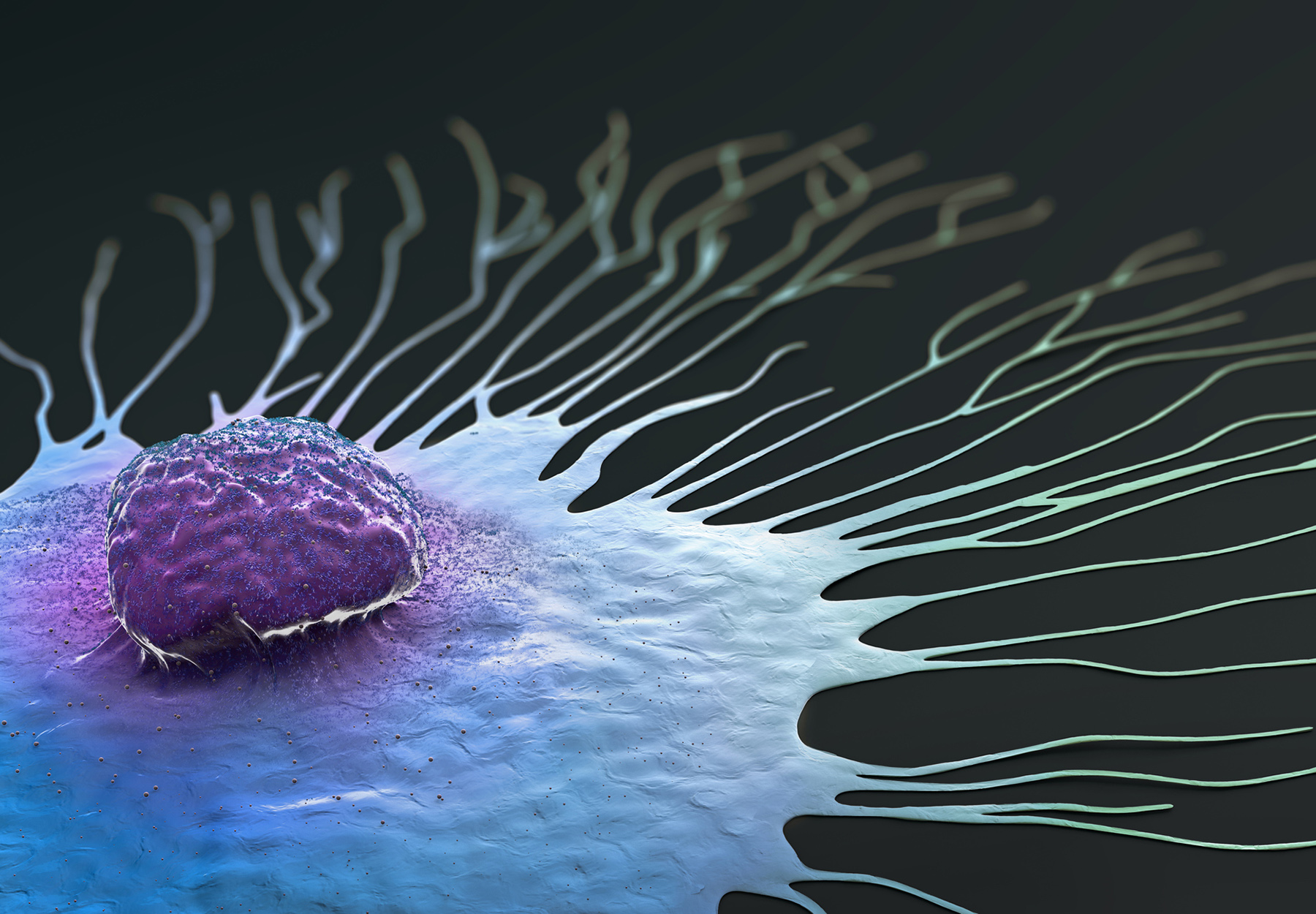 cientific illustration of a migrating breast cancer cell - 3d illustration stock photo