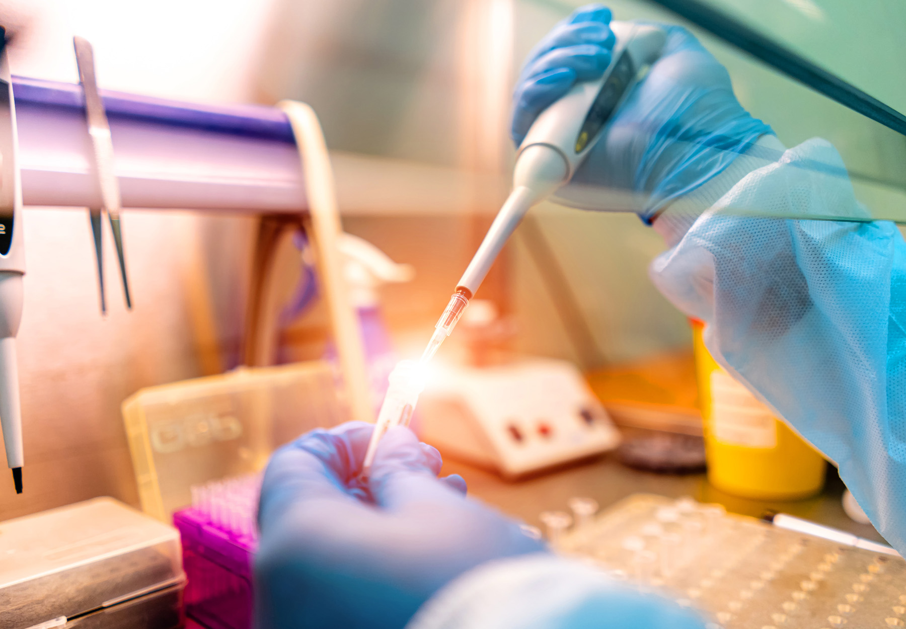 Closeup of lab worker in PPE pipetting in the lab to show the concept of genetic testing. Stock photo.