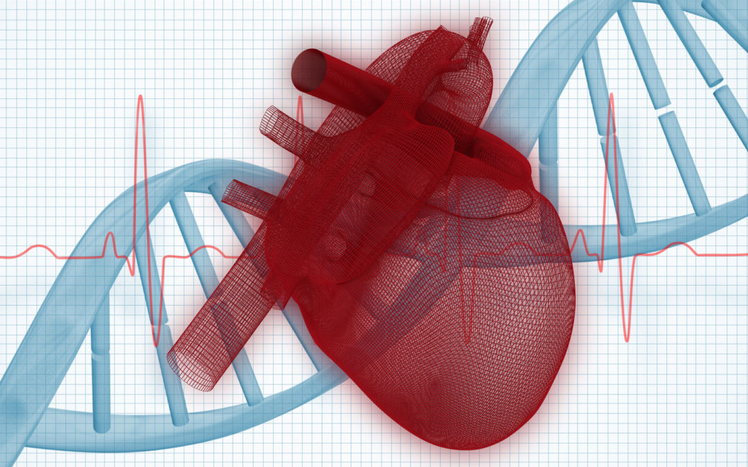 Combining Certain Genetic Tests for Heart Conditions Provides Better Results