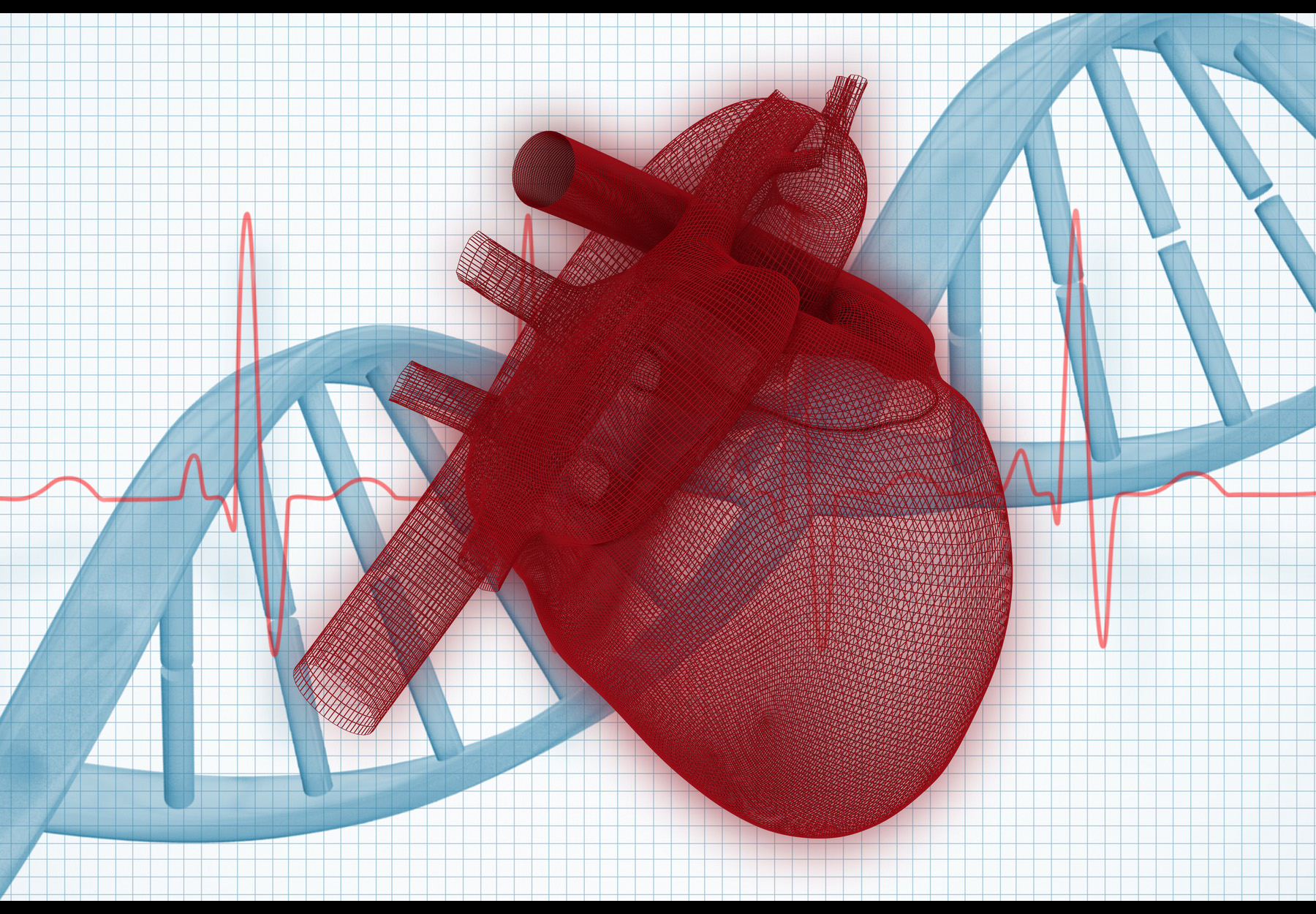 Red diagram of heart with blue DNA strand in background. Cardiac genetic testing concept. Stock image.