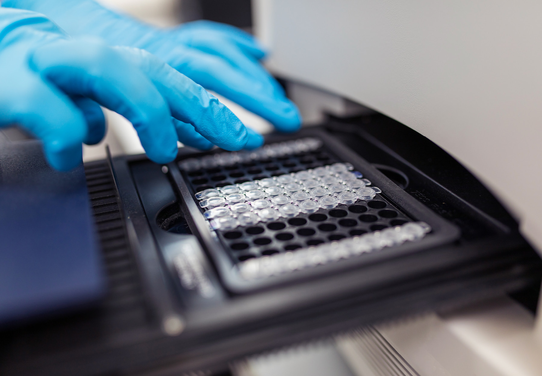 Closeup of scientist's blue-gloved hand loading a PCR machine.