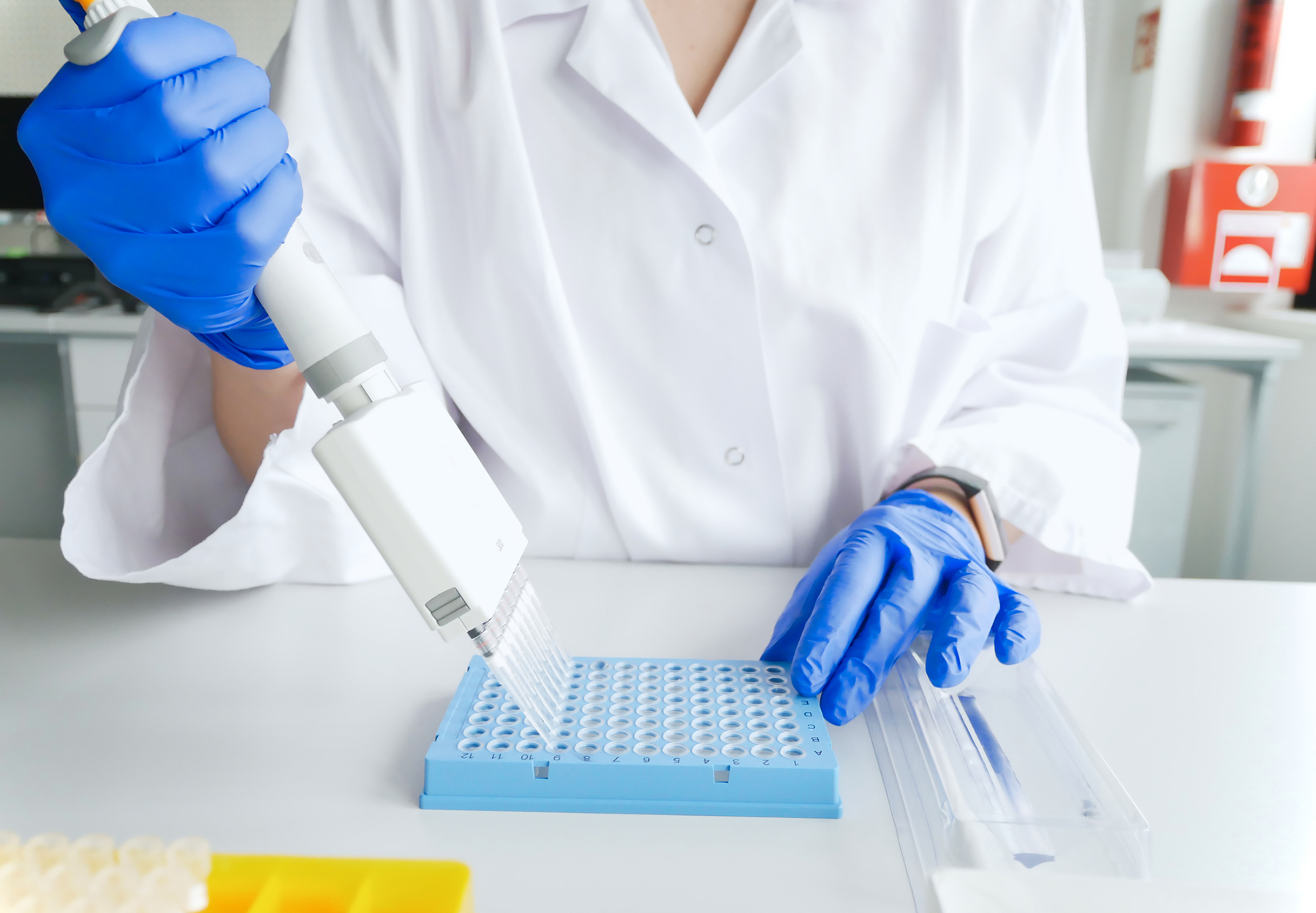 Hands of scientist working with multichannel pipette and multi well plates. research technician with multipipette to perform genetic testing. Stock photo.