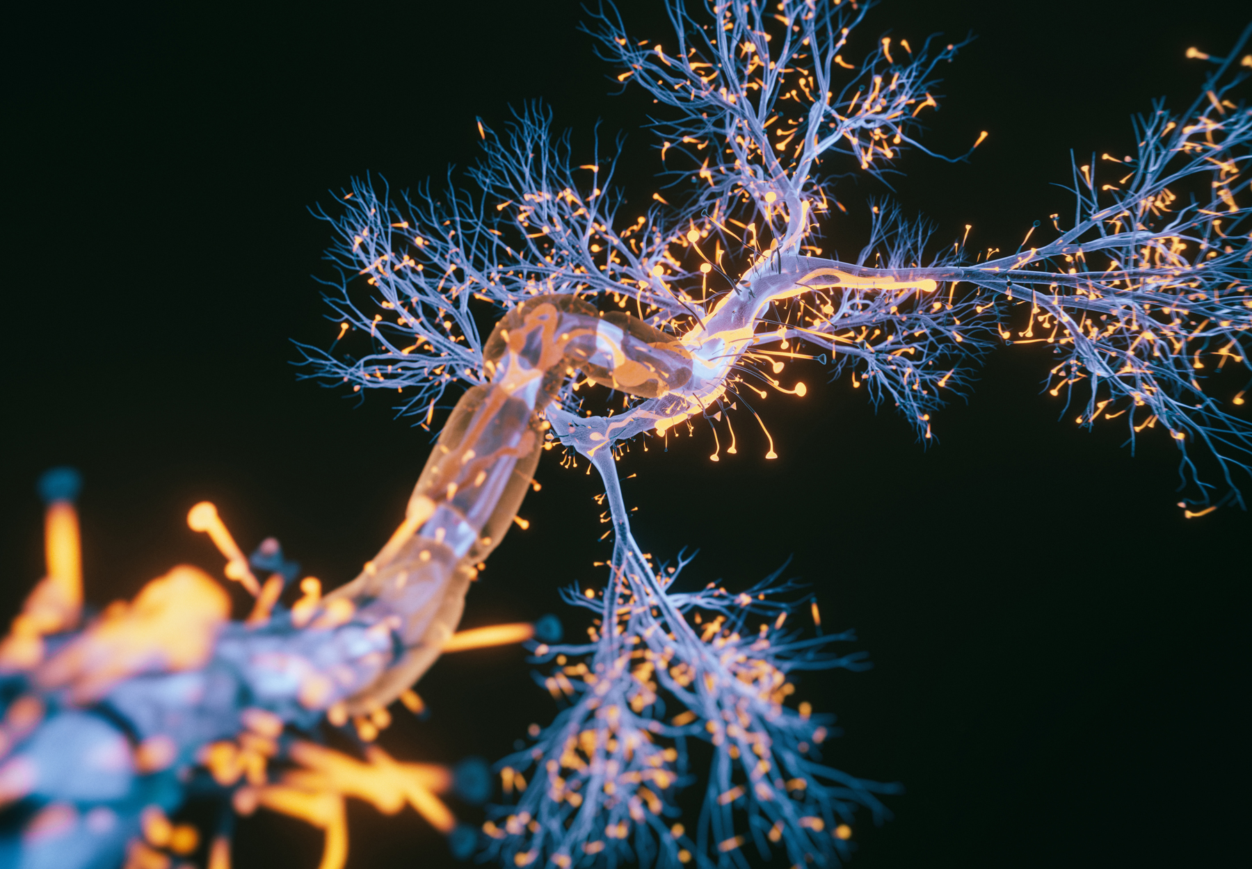 Computer-generated image of neuron in orange and blue on black background. Stock image.