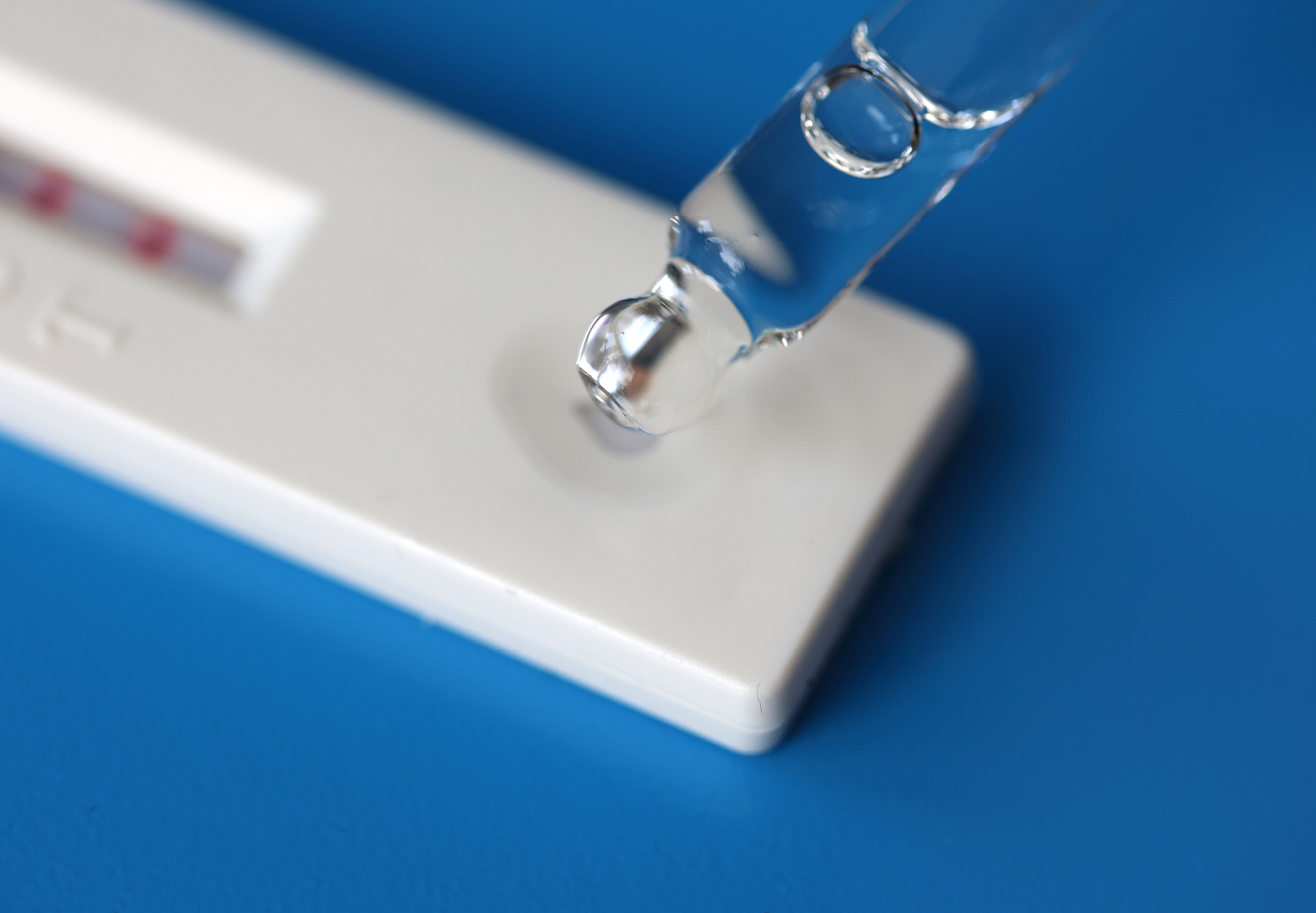 A closeup of a dropper putting fluid onto a COVID-19 rapid antigen test cartridge on a blue surface. Stock photo.