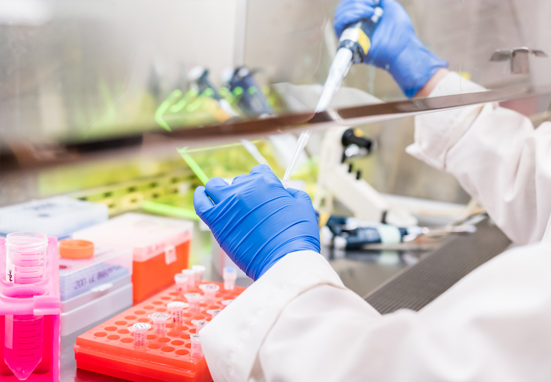 Closeup of lab worker in PPE pipetting in a fume hood. Monkeypox testing. Stock image.