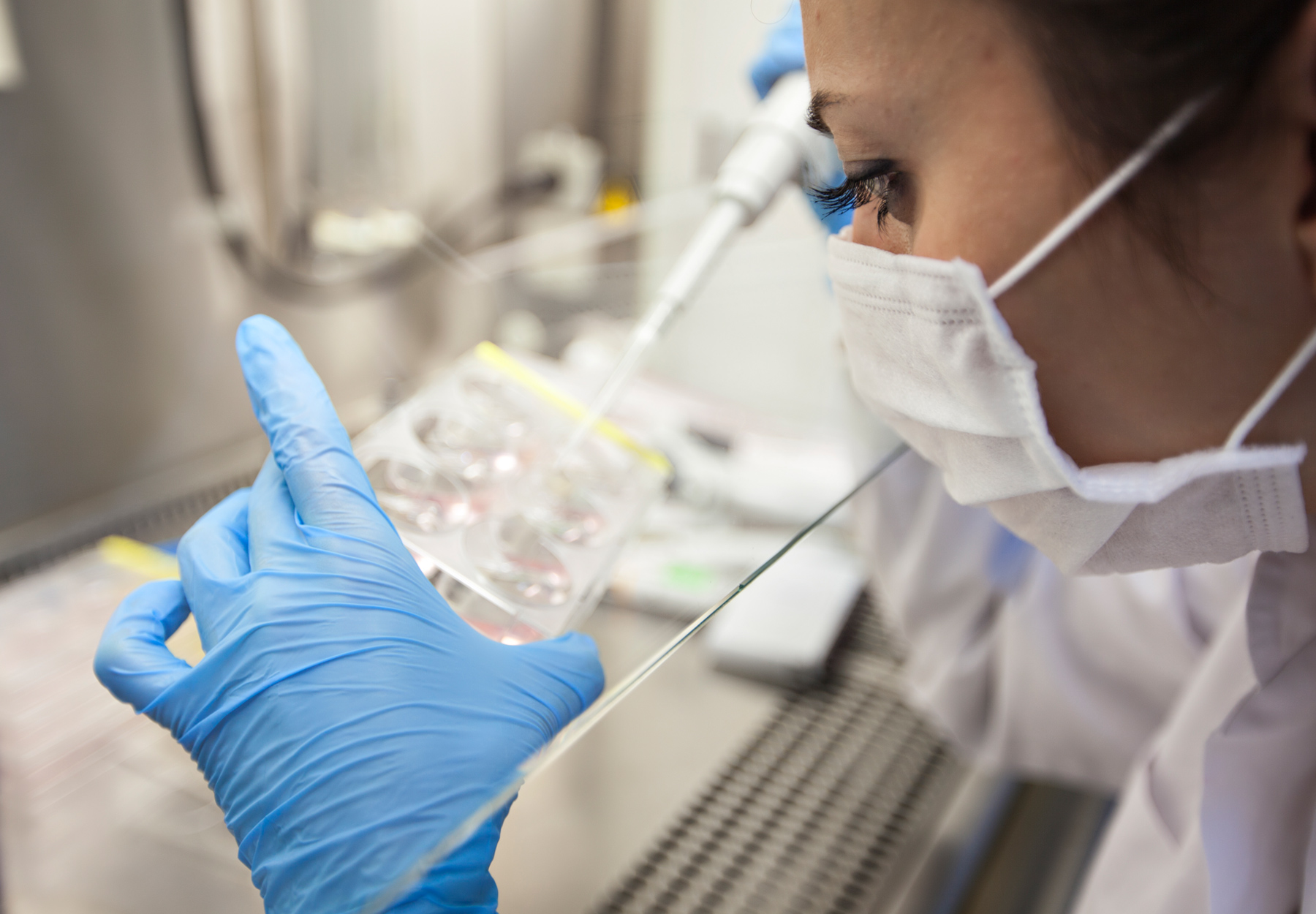 Researcher working with pipette at fume hood in the lab. iStock image.