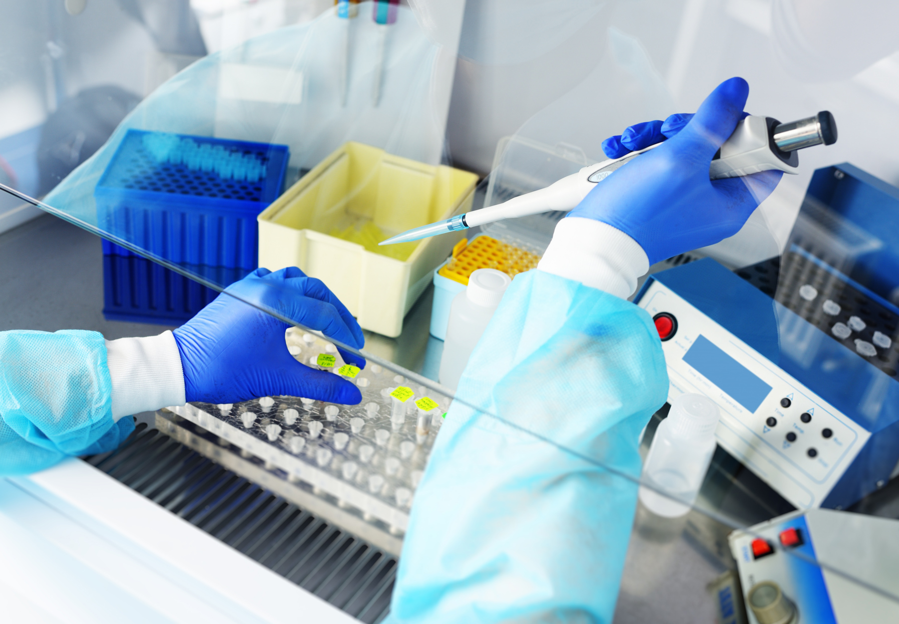 Closeup of lab professional's hands working with a pipette in a fume hood in a PCR laboratory. iStock image.