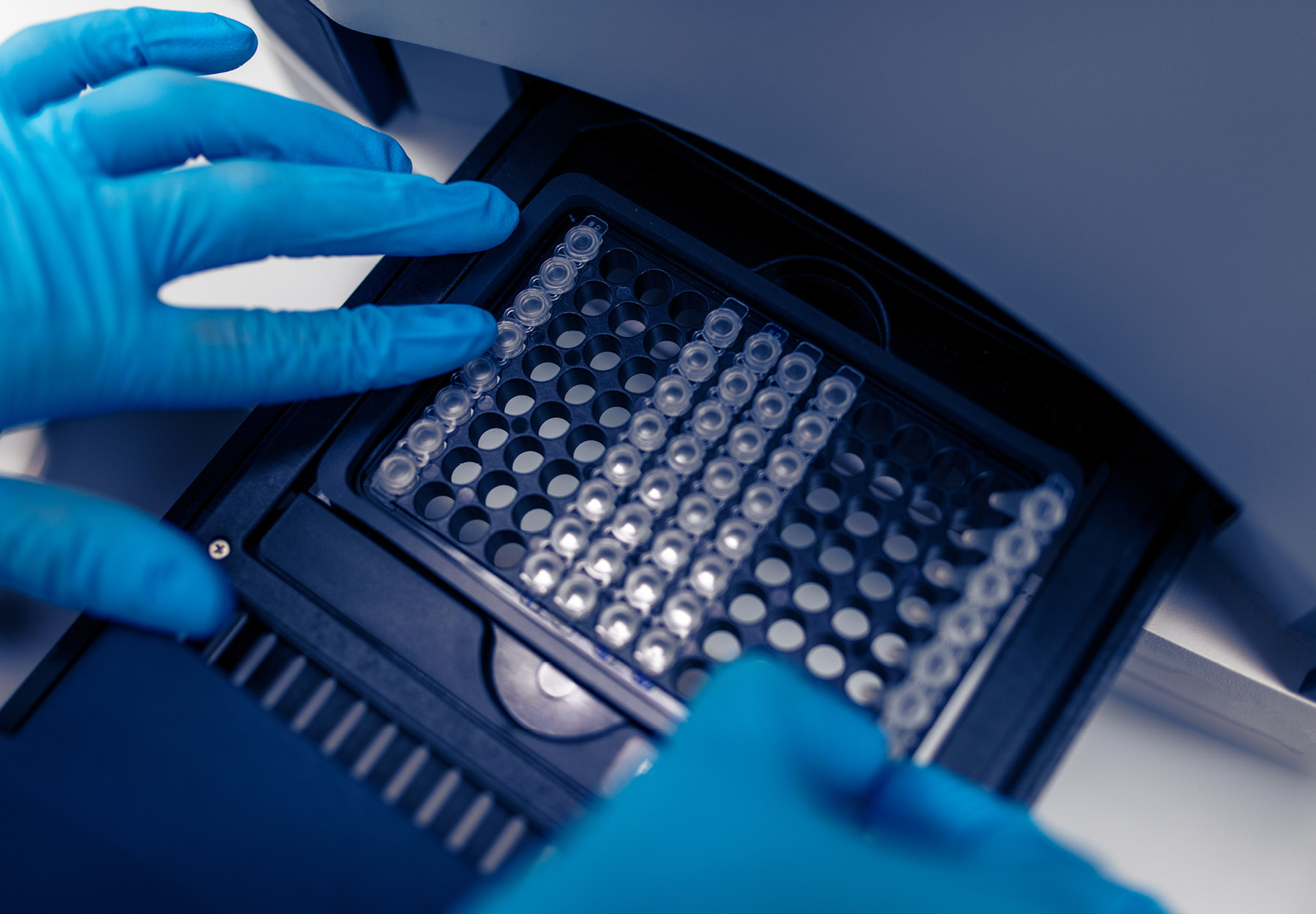 Scientist putting test 96 well plate into real-time PCR machine. iStock image.