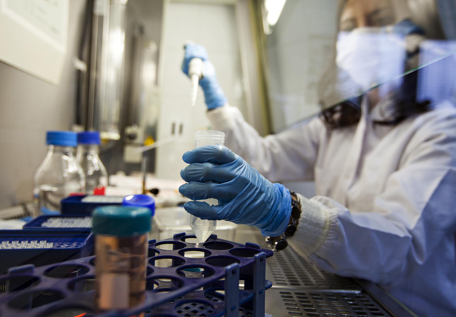 Female scientist in full PPE pipettes in a fume hood in the lab. iStock image.