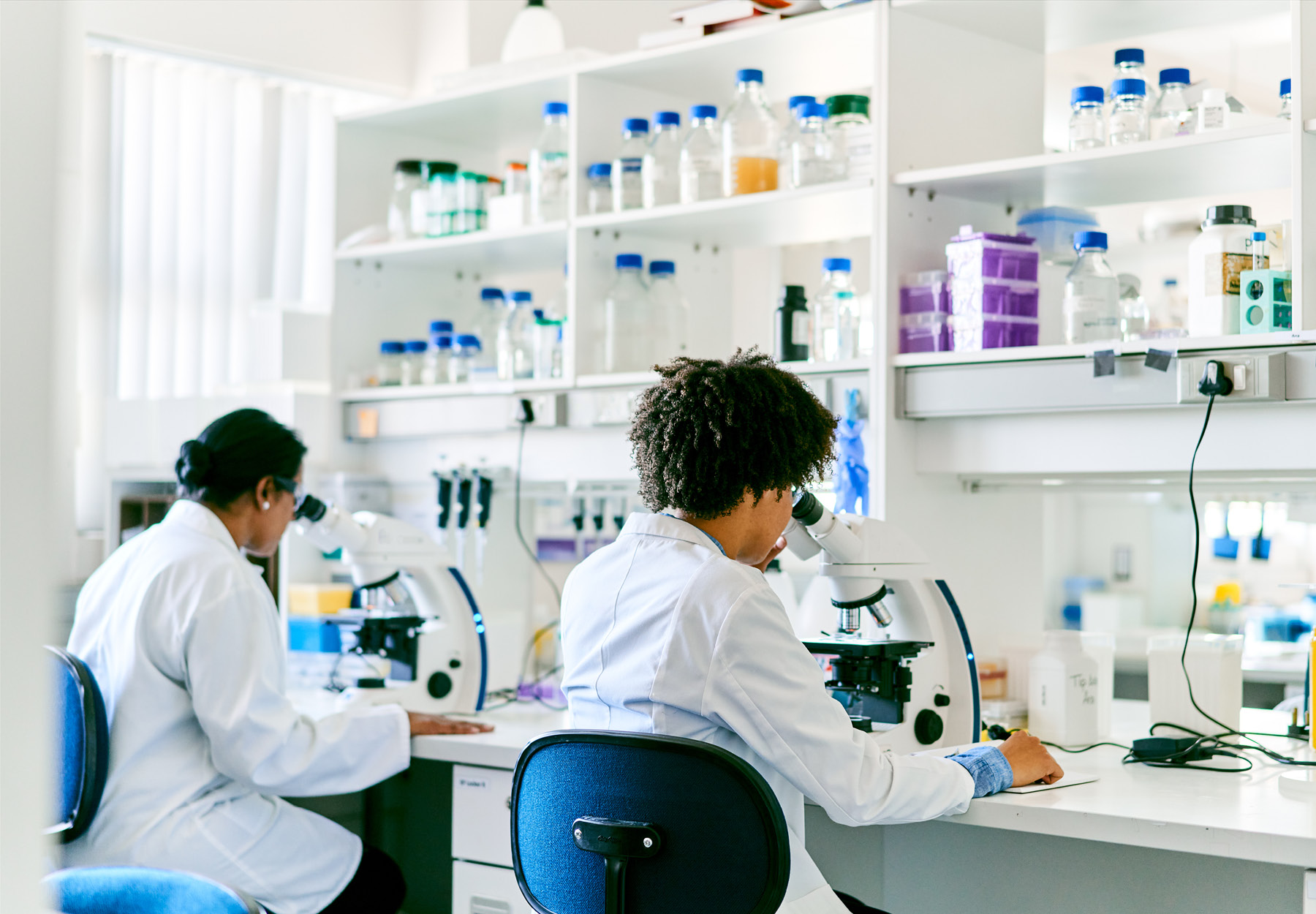 Two female scientists examining samples with microscopes while working together at a table in a laboratory. Stock photo.