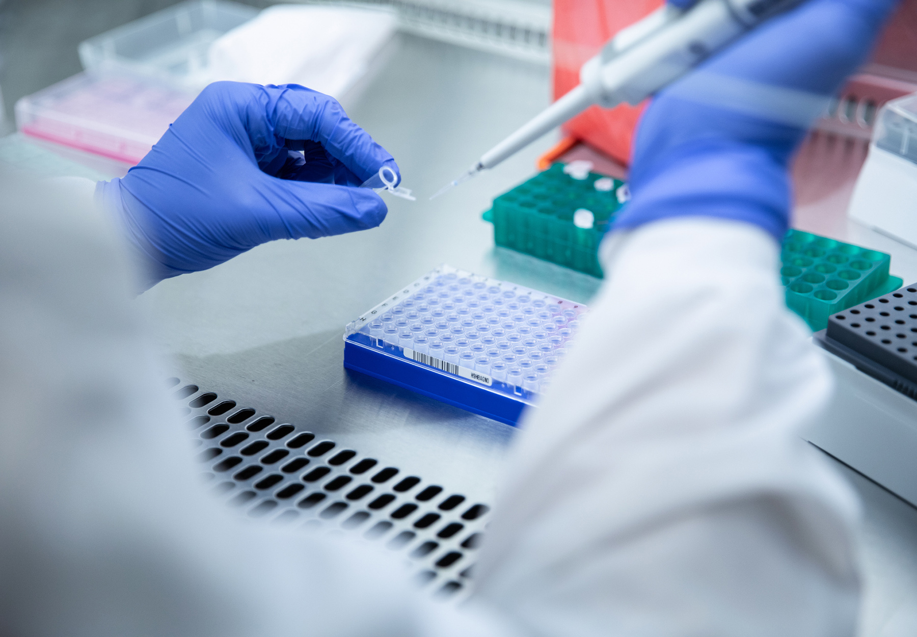 Closeup of lab professional's hands while doing laboratory testing for COVID-19. Stock image.