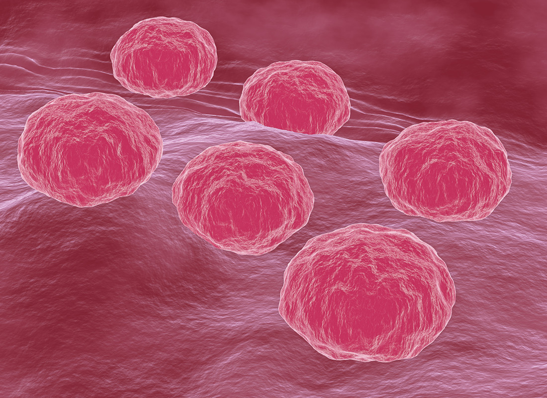 A pink 3d illustration of the bacterium Chlamydia trachomatis, a sexually transmitted bacterium that causes chlamydia in humans