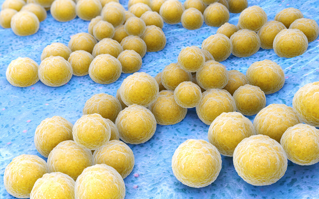 Advancements in Antimicrobial Susceptibility Testing: Part 2