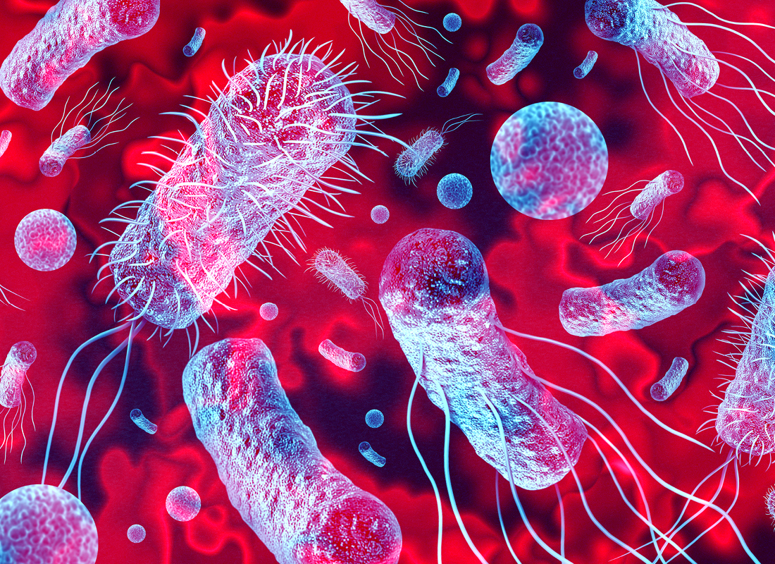 An illustration of various bacteria on a background of blood to illustrate the concept of bacterial infection and sepsis.