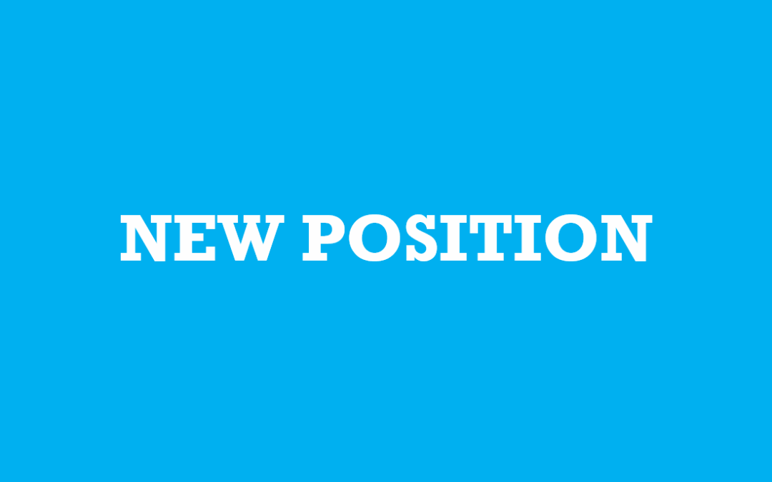 Possible Job Description for a Diagnostic Health Consultant