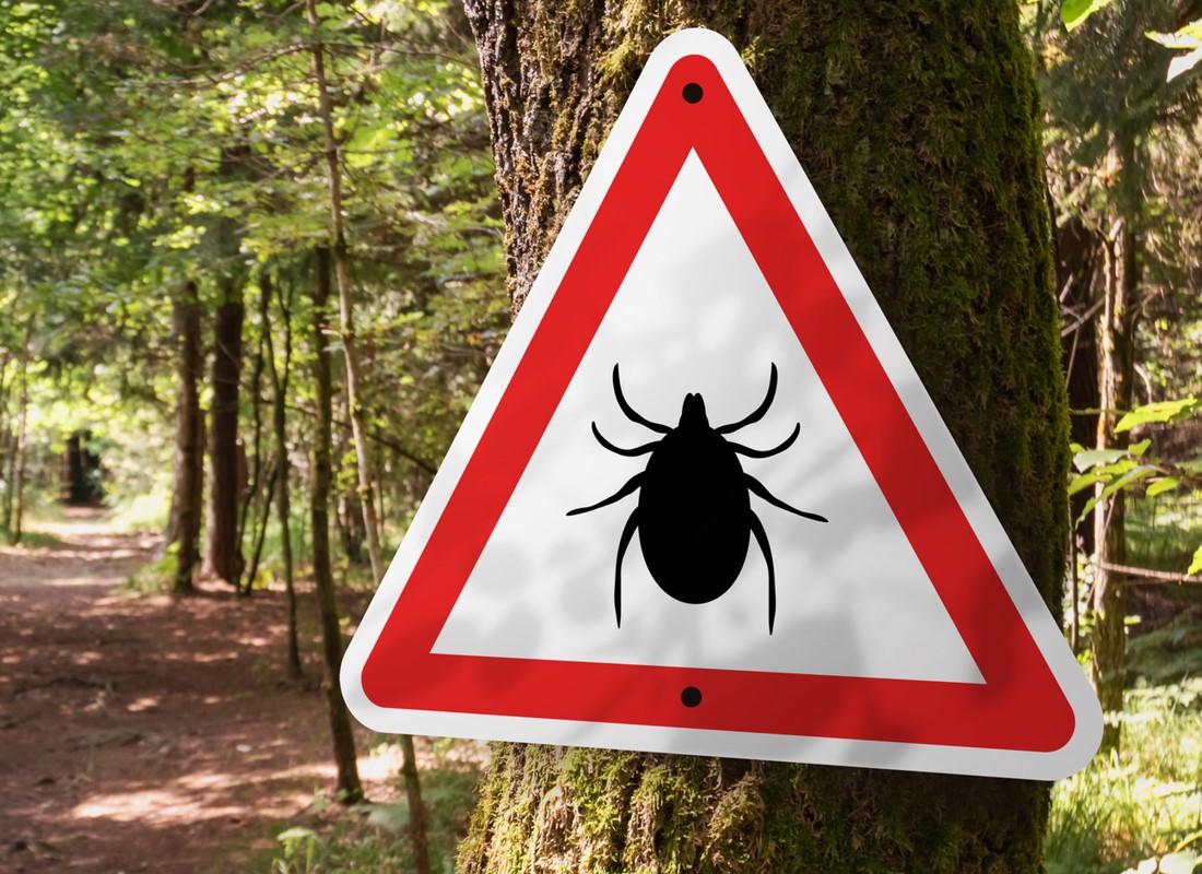 A new microarray offers a more comprehensive Lyme disease testing method.