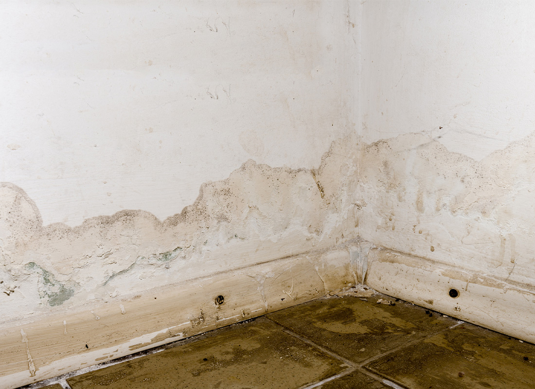 Zepto Life Technology received FDA breakthrough designation for a mold panel