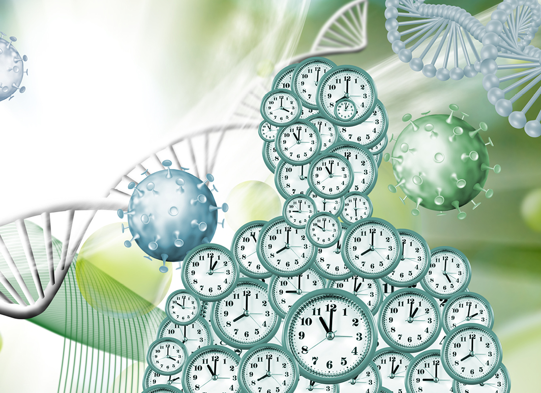 Image depicting passage of biological time